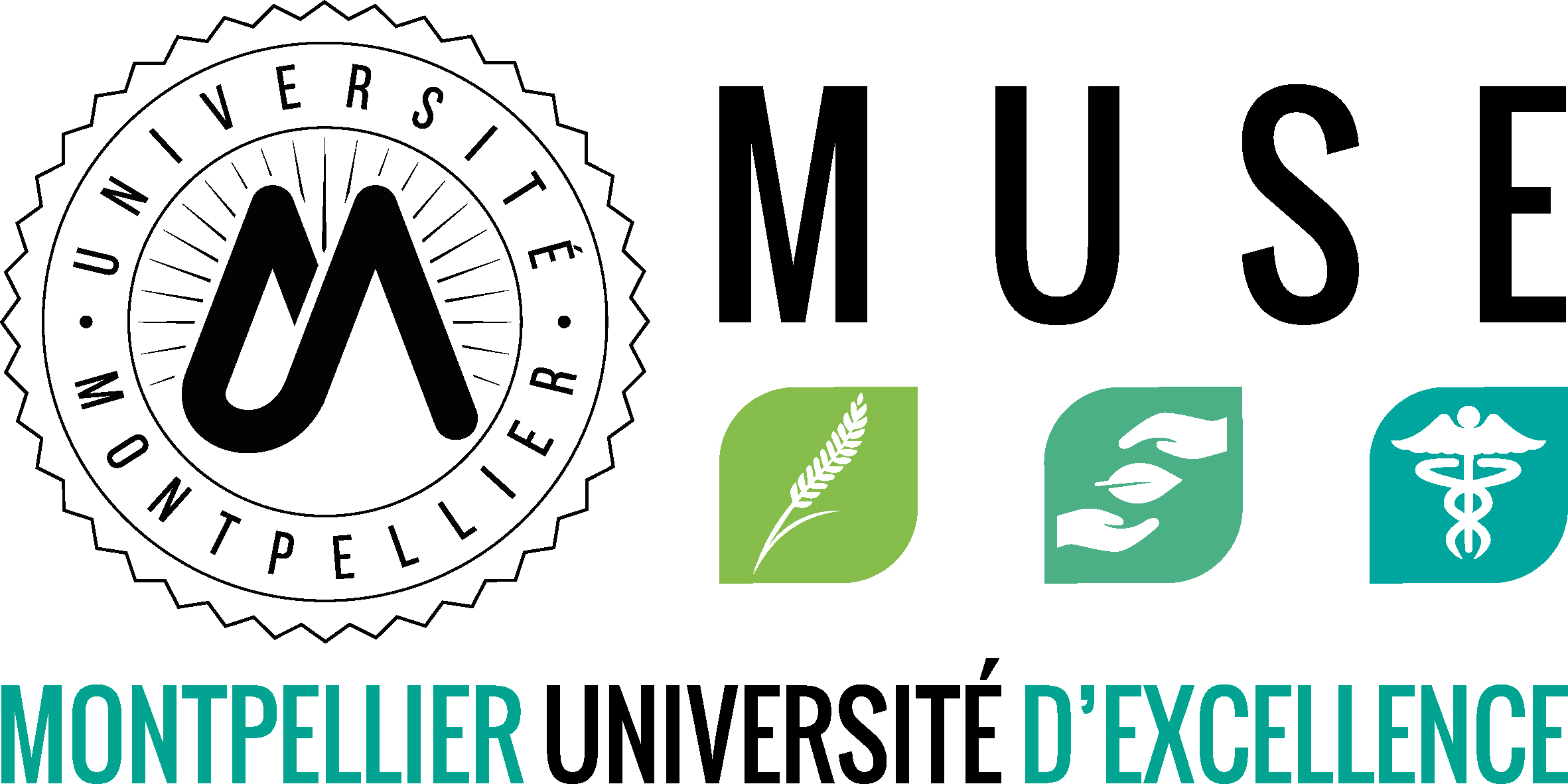 logo-MUSE-150x100